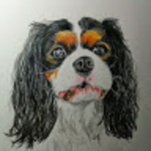 Meet your Posher, Joanne